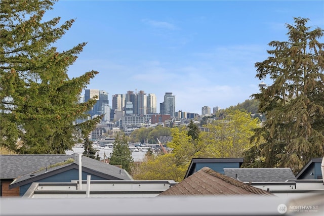 1521 N 39th St, Seattle, WA 98103 - skyline view