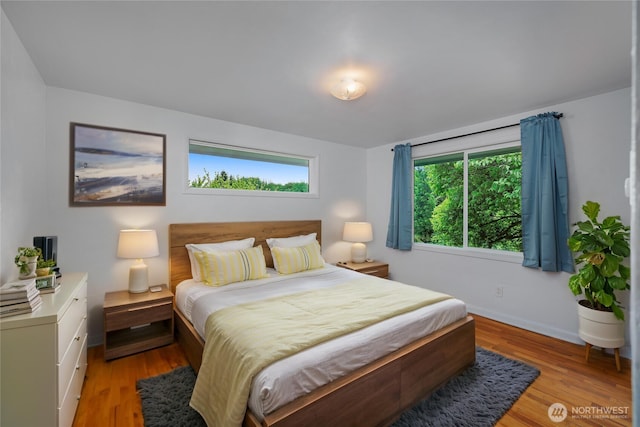 2116 Union Ave SE, Olympia, WA 98501 - bedroom featuring light wood-style floors and baseboards