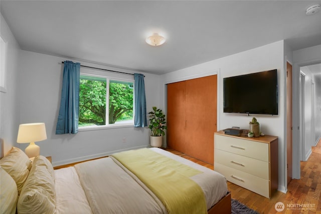 2116 Union Ave SE, Olympia, WA 98501 - bedroom with light wood finished floors, a closet, and baseboards