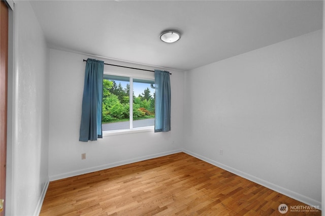 2116 Union Ave SE, Olympia, WA 98501 - empty room with light wood finished floors and baseboards