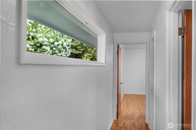 2116 Union Ave SE, Olympia, WA 98501 - hall with wood finished floors, healthy amount of natural light, and baseboards