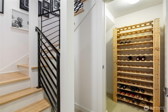 7734 Seward Park Ave S, Seattle, WA 98118 - view of wine room