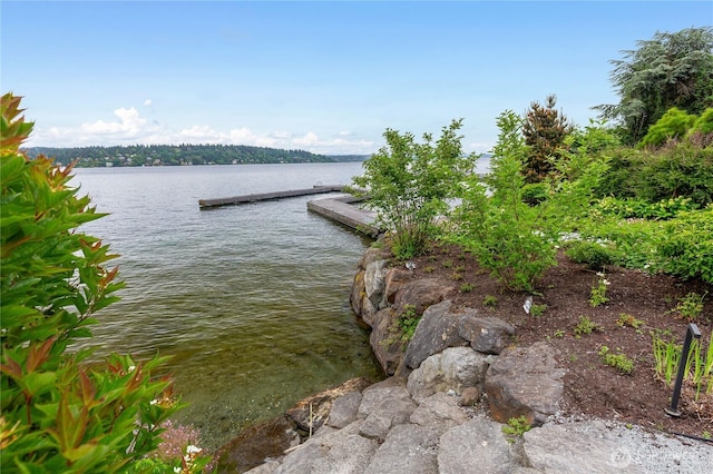 7734 Seward Park Ave S, Seattle, WA 98118 - dock featuring a water view