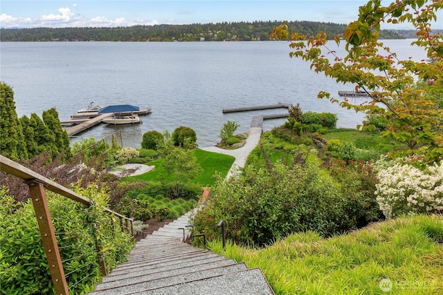 7734 Seward Park Ave S, Seattle, WA 98118 - water view with a dock