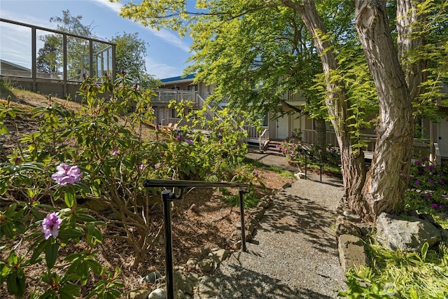 250 Tucker Ave Unit 25, Friday Harbor, WA 98250 - view of yard