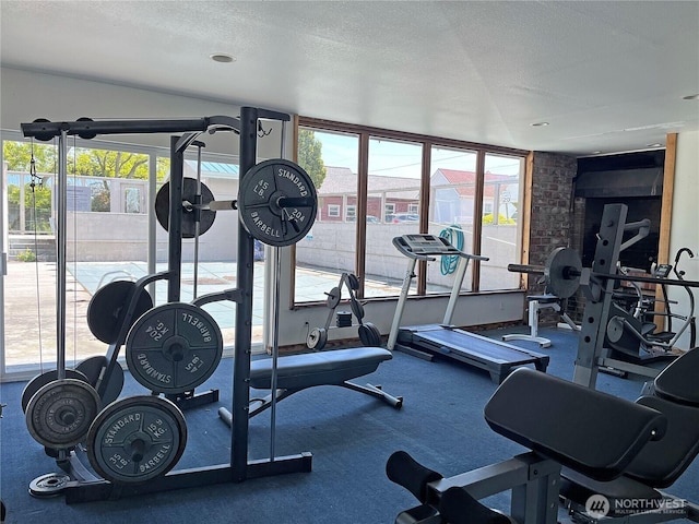 250 Tucker Ave Unit 25, Friday Harbor, WA 98250 - workout area featuring plenty of natural light and a textured ceiling