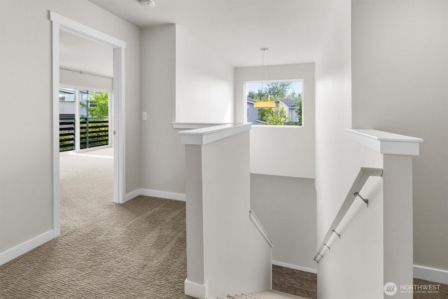 4720 Spring Vista Way, Bellingham, WA 98226 - staircase featuring carpet floors and baseboards