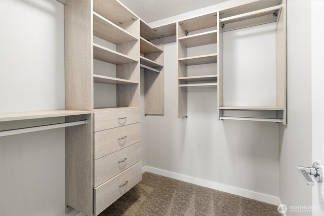 4720 Spring Vista Way, Bellingham, WA 98226 - walk in closet with dark carpet