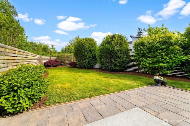 4720 Spring Vista Way, Bellingham, WA 98226 - view of yard with a patio area