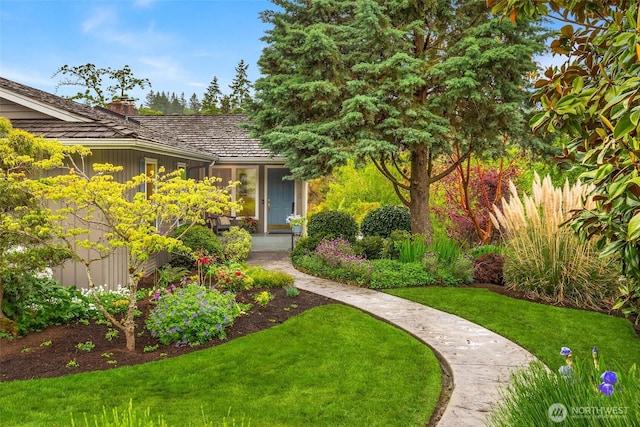 7915 SE 34th St, Mercer Island, WA 98040 - view of grassy yard