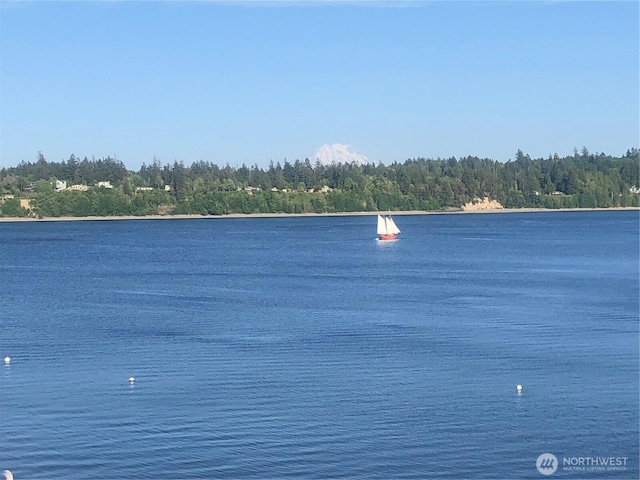 7342 Huckleberry Rd NW, Olympia, WA 98502 - water view with a heavily wooded area