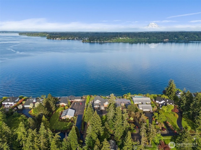 7342 Huckleberry Rd NW, Olympia, WA 98502 - aerial perspective of suburban area featuring a nearby body of water
