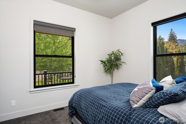 381 Pebble Beach Dr, Cle Elum, WA 98922 - bedroom with carpet, multiple windows, and baseboards