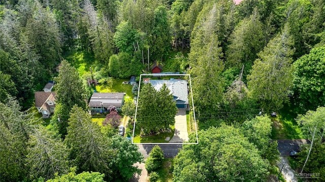 157 Northwood Dr, Point Roberts, WA 98281 - aerial overview of property's location with a heavily wooded area and property parcel outlined