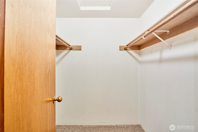 9514 Sand Point Way NE, Seattle, WA 98115 - spacious closet featuring carpet flooring