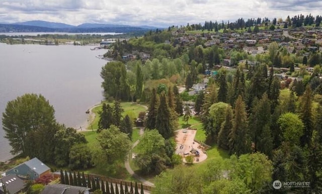 9514 Sand Point Way NE, Seattle, WA 98115 - aerial view of property and surrounding area with a water and mountain view