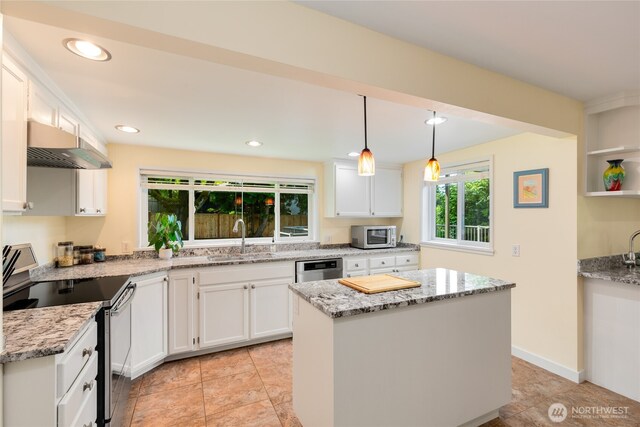 229 S 171st St, Burien, WA 98148 - kitchen with stainless steel appliances, under cabinet range hood, a sink, white cabinets, and light stone counters
