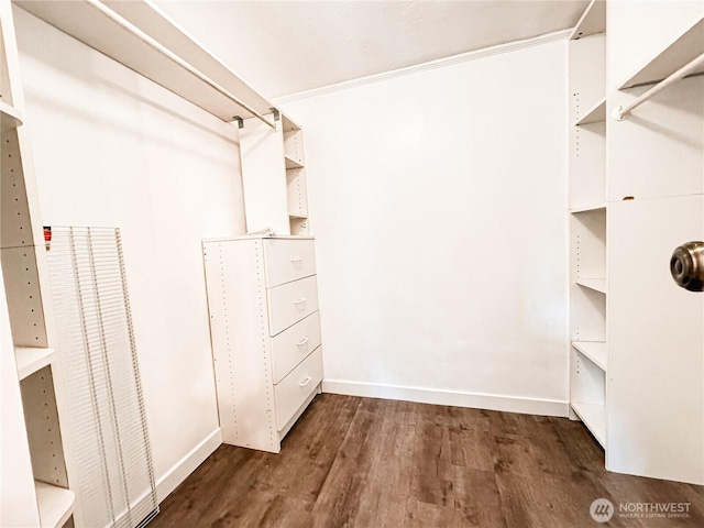 700 N Reed St Unit 72, Sedro Woolley, WA 98284 - walk in closet featuring dark wood-type flooring