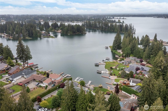 4217 Lakeridge Dr E, Lake Tapps, WA 98391 - aerial view of property and surrounding area featuring a large body of water and nearby suburban area