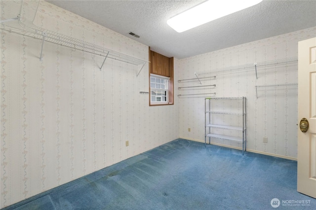 4217 Lakeridge Dr E, Lake Tapps, WA 98391 - spacious closet with carpet floors