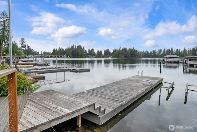 4217 Lakeridge Dr E, Lake Tapps, WA 98391 - dock with a water view