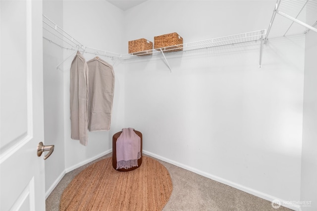 walk in closet with carpet