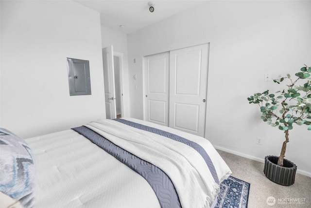 bedroom featuring electric panel, carpet, and a closet