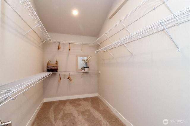 16001 1st Ave NE, Duvall, WA 98019 - spacious closet featuring carpet