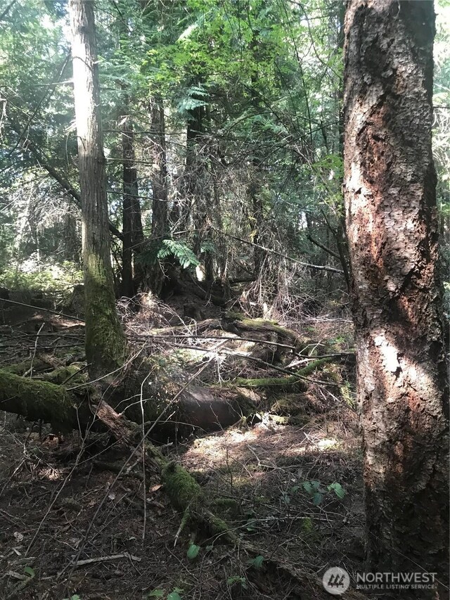 0 Channel Rd, Lopez Island, WA 98261 - photo 2
