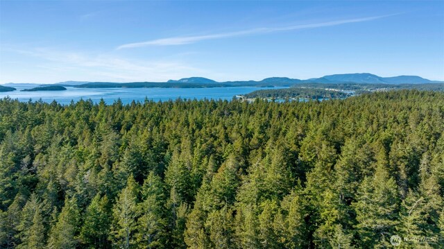 0 Channel Rd, Lopez Island, WA 98261 - photo 9