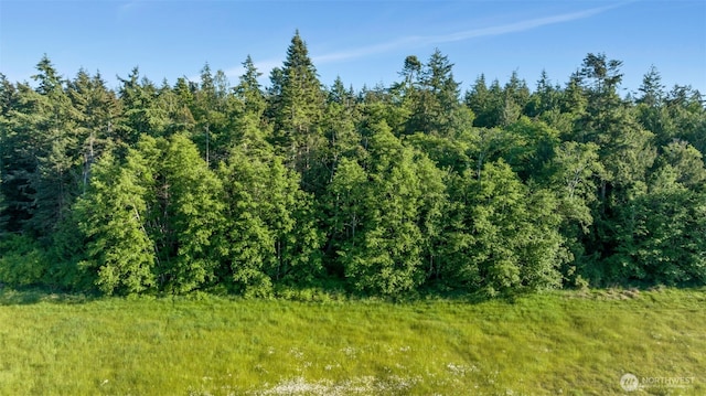 0 Channel Rd, Lopez Island, WA 98261 - photo 12