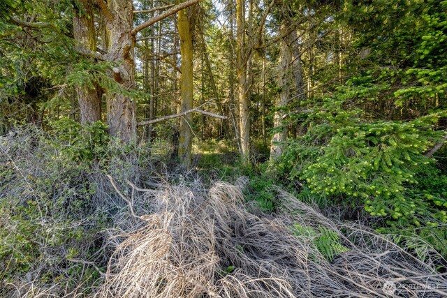 0 Channel Rd, Lopez Island, WA 98261 - photo 14