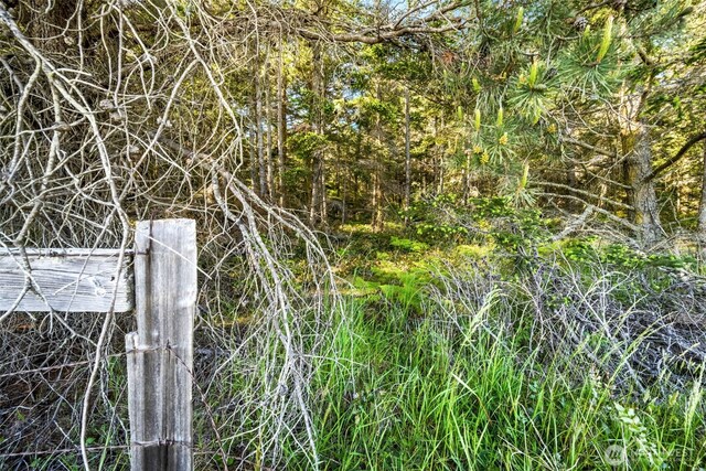 0 Channel Rd, Lopez Island, WA 98261 - photo 15