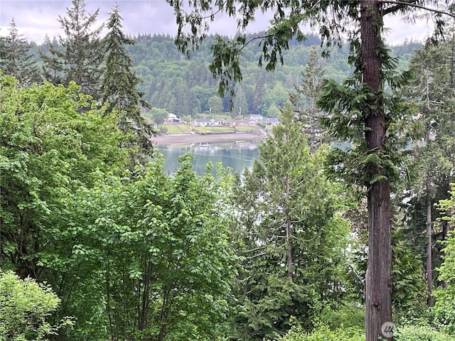 260 E Panorama Dr, Shelton, WA 98584 - photo 1