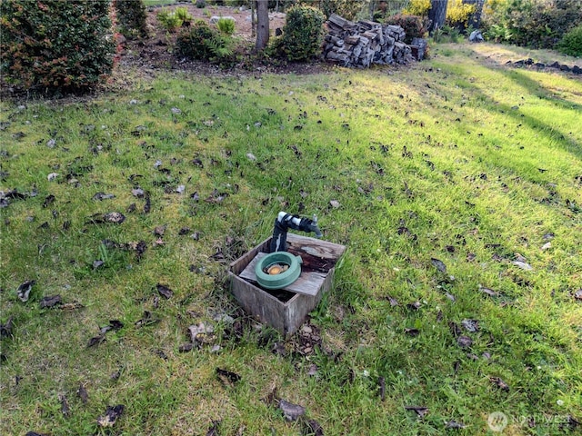 140 E Connemara Way, Shelton, WA 98584
