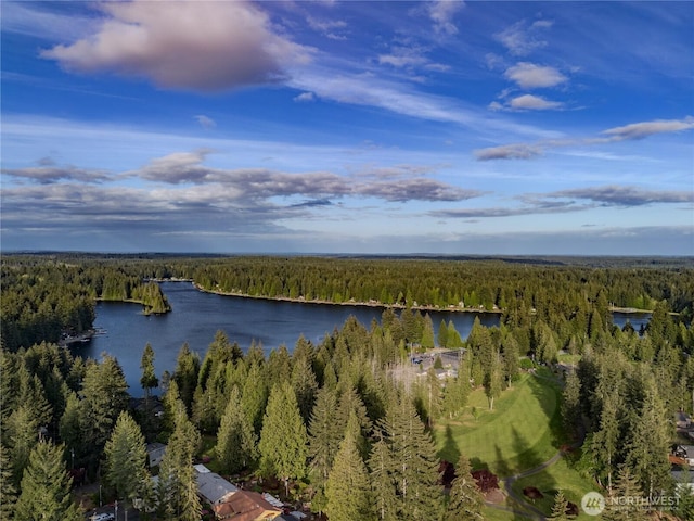 140 E Connemara Way, Shelton, WA 98584