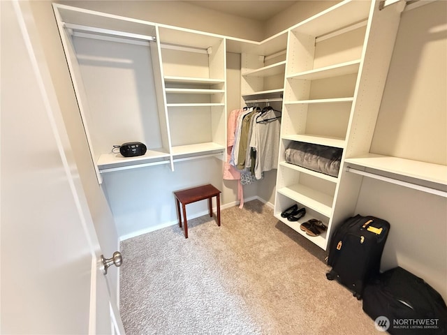 18708 108th Ave SE, Puyallup, WA 98374 - walk in closet with carpet flooring