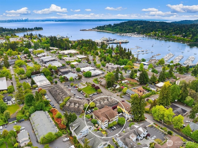 120 Hall Brothers Loop NW Unit 103, Bainbridge Island, WA 98110 - bird's eye view of a large body of water and numerous boat docks
