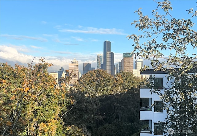 1604 11th Ave S Unit 402, Seattle, WA 98134 - city view
