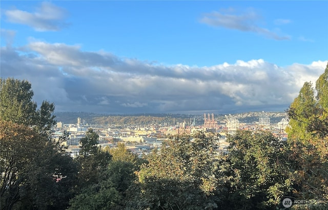 1604 11th Ave S Unit 402, Seattle, WA 98134 - city view