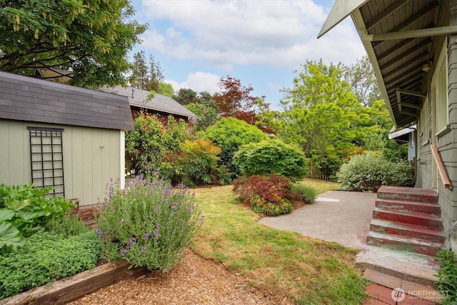 view of yard featuring a shed, an outbuilding, and a patio