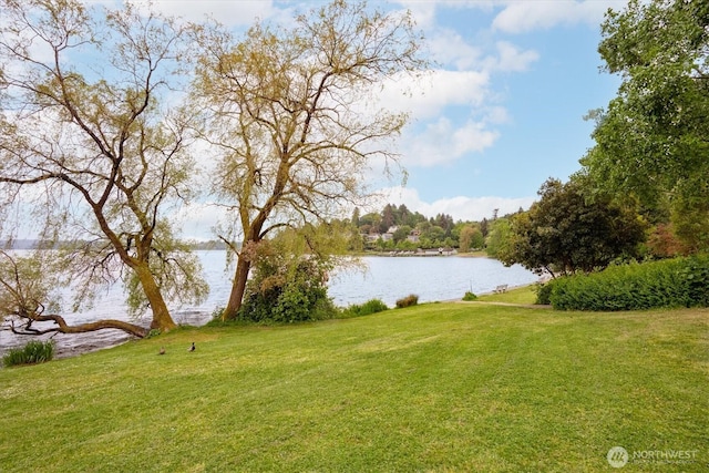view of grassy yard with a water view
