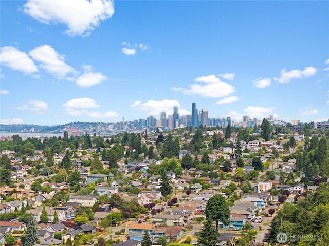 5903 19th Ave S, Seattle, WA 98108 - drone / aerial view