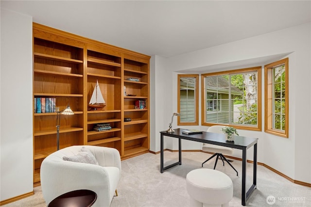 8484 NE County Park Rd, Bainbridge Island, WA 98110 - office with light carpet and baseboards