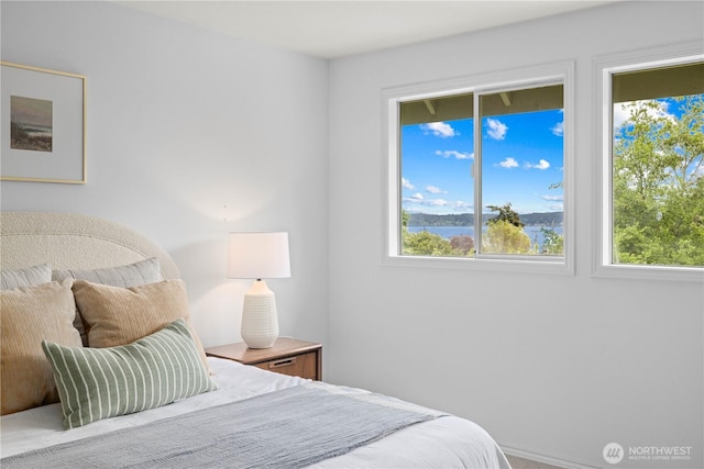 8484 NE County Park Rd, Bainbridge Island, WA 98110 - bedroom with multiple windows and a water view
