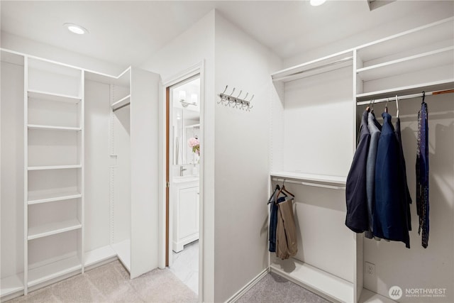 8484 NE County Park Rd, Bainbridge Island, WA 98110 - spacious closet featuring carpet