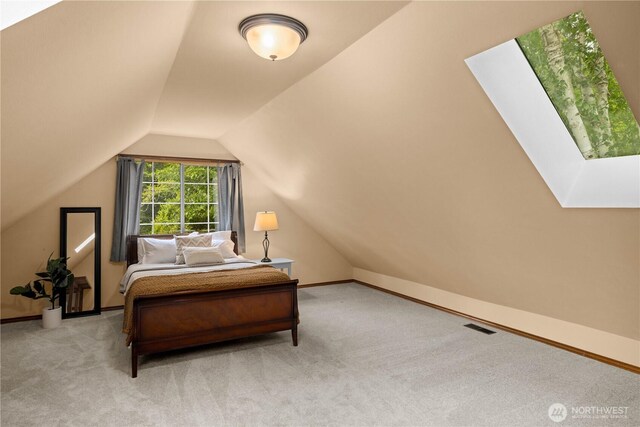 8484 NE County Park Rd, Bainbridge Island, WA 98110 - bedroom with lofted ceiling, carpet flooring, a skylight, and baseboards
