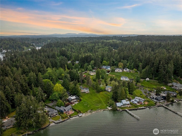 8484 NE County Park Rd, Bainbridge Island, WA 98110 - view of property location with a heavily wooded area and a large body of water