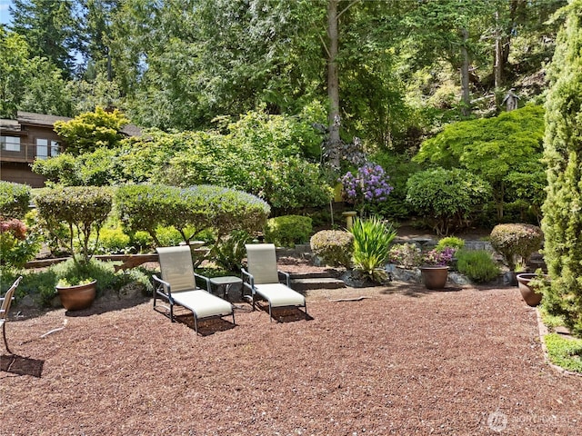 495 Colville Ln, Conner, WA 98257 - view of yard