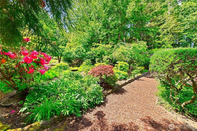 495 Colville Ln, Conner, WA 98257 - view of yard